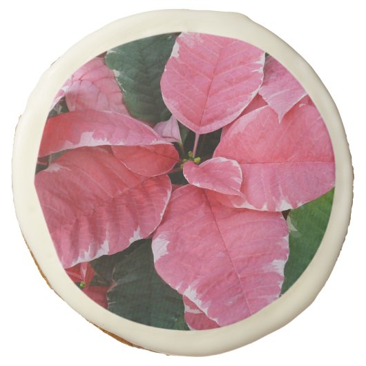 Silver Star Marble Poinsettias Pink Holiday Floral Sugar Cookie (Front)