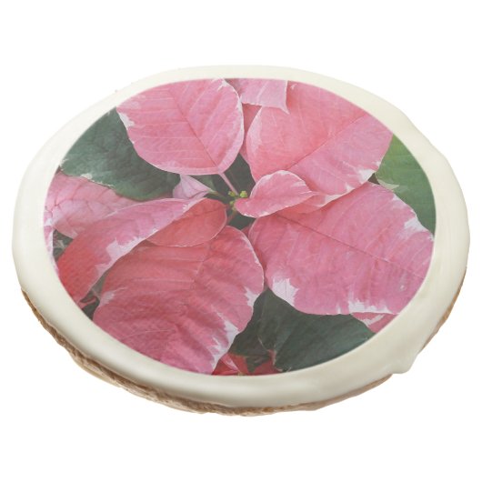 Silver Star Marble Poinsettias Pink Holiday Floral Sugar Cookie (Angled)