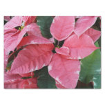 Silver Star Marble Poinsettias Pink Holiday Floral Tissue Paper