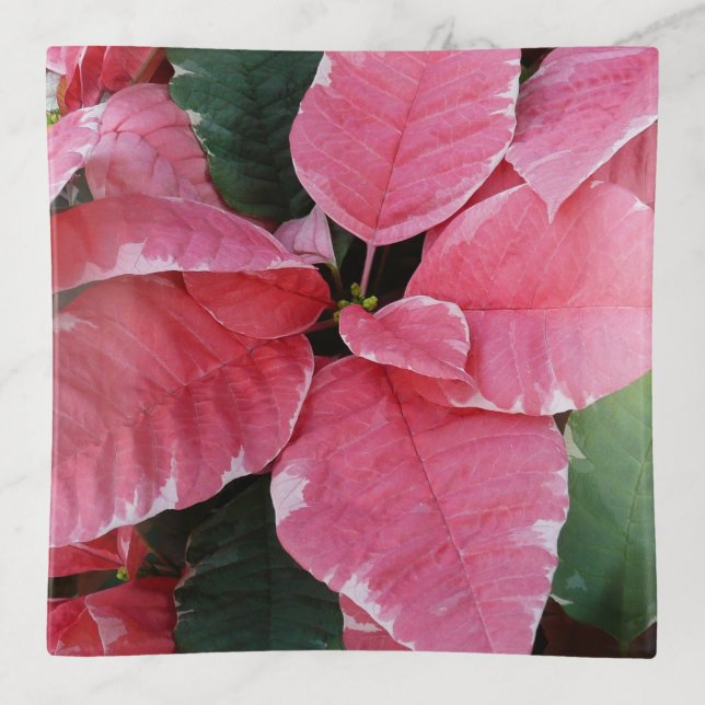 Silver Star Marble Poinsettias Pink Holiday Floral Trinket Tray (Front)