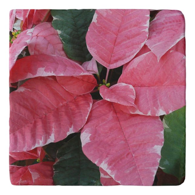 Silver Star Marble Poinsettias Pink Holiday Floral Trivet (Front)