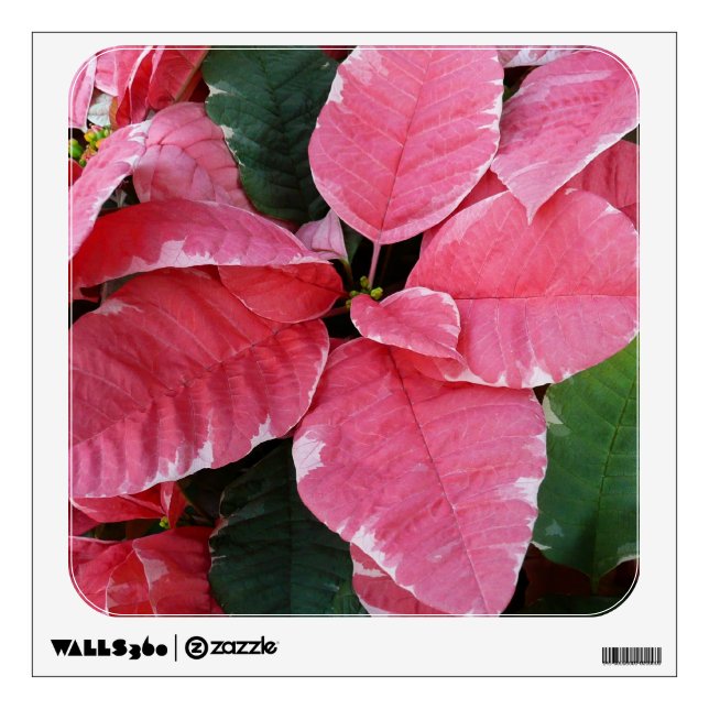 Silver Star Marble Poinsettias Pink Holiday Floral Wall Sticker (Front)