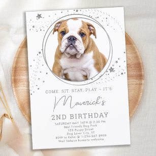 Silver Stars Birthday Personalized Pet Dog Photo Invitation
