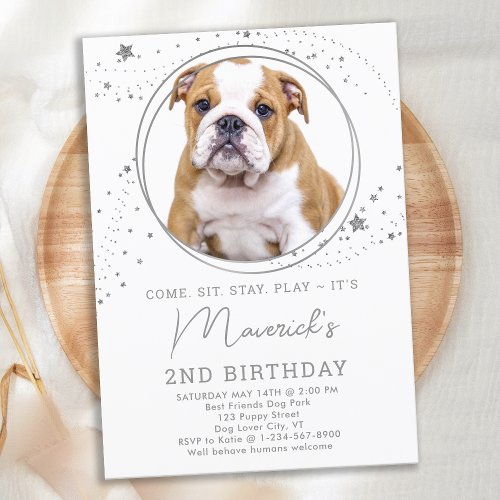 Silver Stars Birthday Personalized Pet Dog Photo Invitation