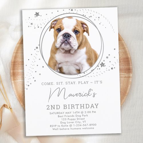 Silver Stars Dog Birthday Personalized Pet Photo Invitation Postcard