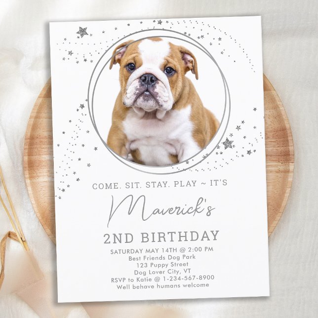 Silver Stars Dog Birthday Personalized Pet Photo Invitation Postcard (Creator Uploaded)