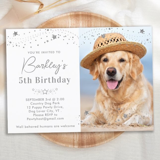 Silver Stars Personalized Pet Photo Dog Birthday  Invitation (Creator Uploaded)
