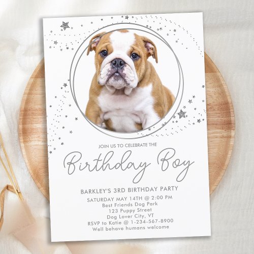 Silver Stars Personalized Pet Photo Dog Birthday Invitation