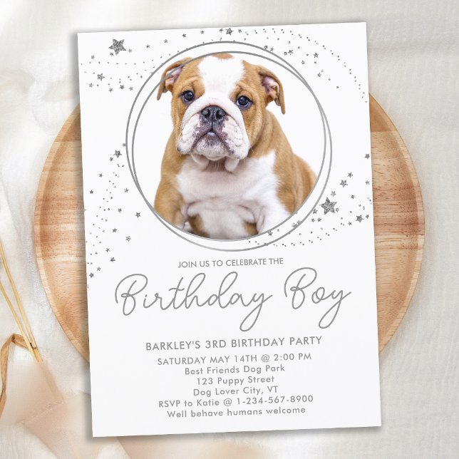 Silver Stars Personalized Pet Photo Dog Birthday Invitation (Creator Uploaded)
