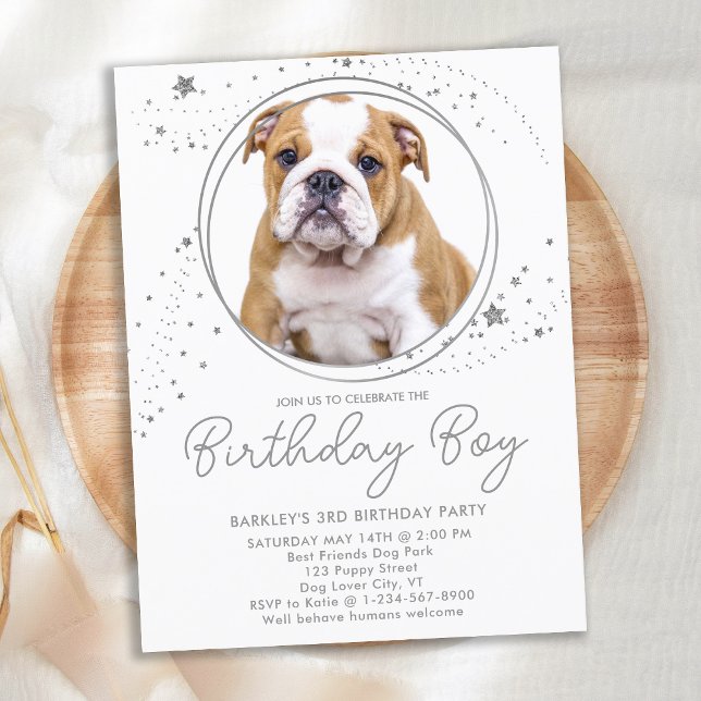 Silver Stars Personalized Pet Photo Dog Birthday Invitation Postcard (Creator Uploaded)