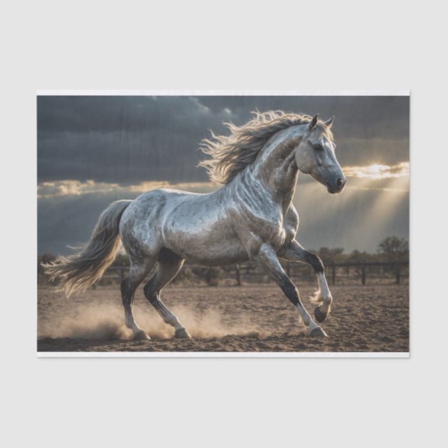 Silver Storm Wild Horse Decoupage Paper  (Front)