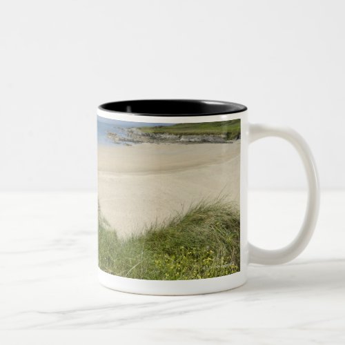 Silver Strand with Clear Island in the Two_Tone Coffee Mug