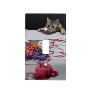 Silver tabby cat climbing over edge of table light switch cover