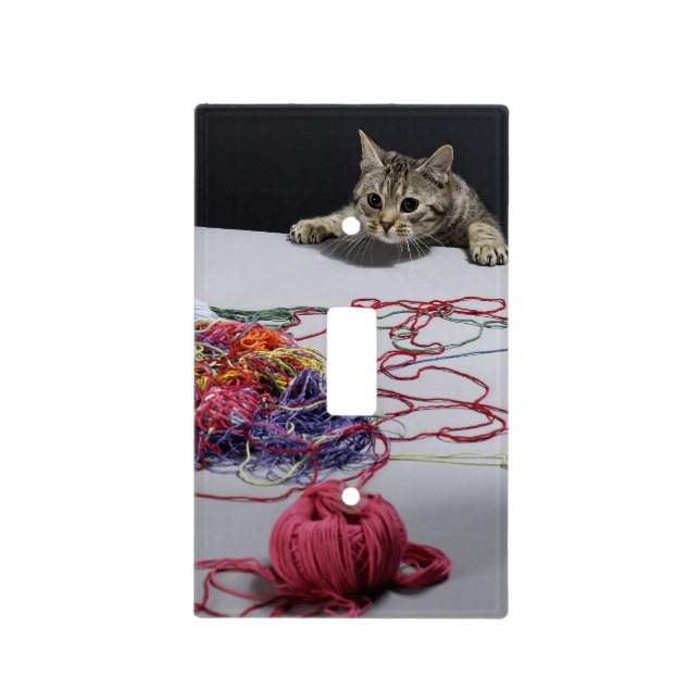 Silver tabby cat climbing over edge of table light switch cover (Front)