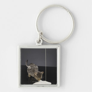 Silver tabby cat drinking cream from floor keychain