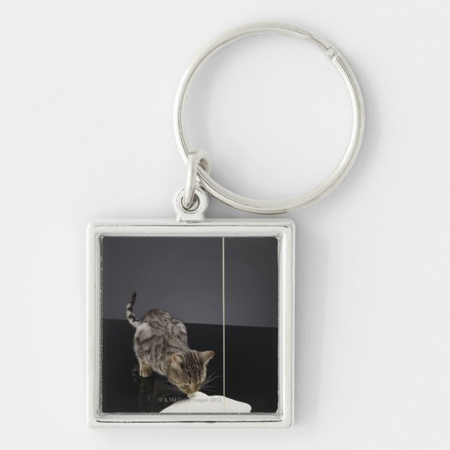 Silver tabby cat drinking cream from floor keychain (Front)