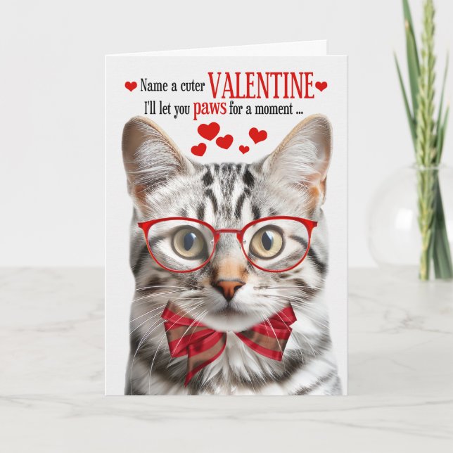 Silver Tabby Cat Feline Humor Valentine's Day Holiday Card (Front)