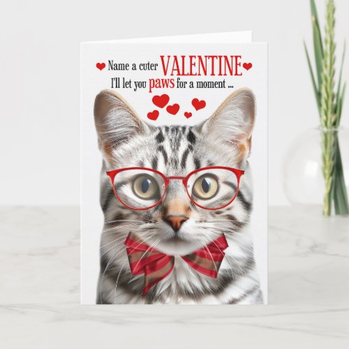 Silver Tabby Cat Feline Humor Valentines Day Holiday Card