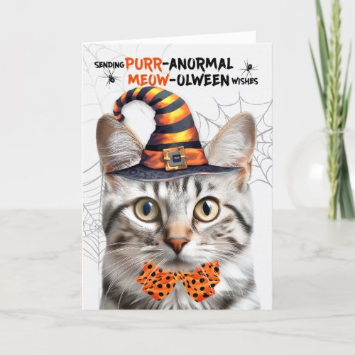 Silver Tabby Cat PURRanormal MEOWolween Holiday Card