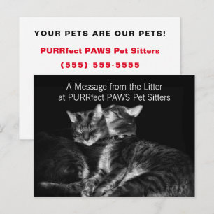 Silver Tabby Cats Pet Sitter Handout Business Postcard