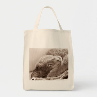 Silver the Cat Grocery Tote Bag