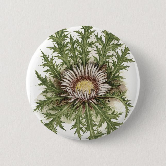 Silver Thistle Collection Pinback Button (Front)