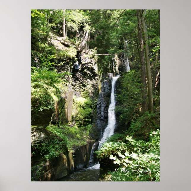 Silver Thread Falls Poster (Front)