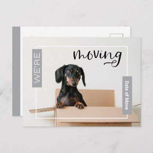 Silver Were Moving Dachshund Dog in Box Postcard