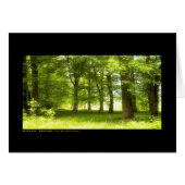 Silver Wood (card) (Front Horizontal)