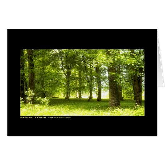 Silver Wood (card) Cards (Front Horizontal)