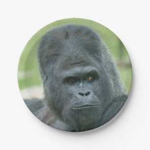 Silverback Dishi Paper Plates