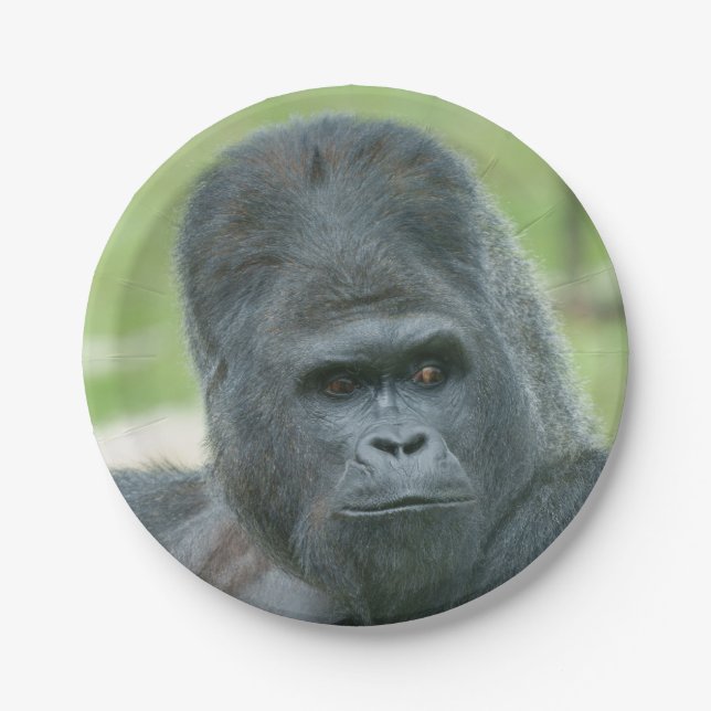 Silverback Dishi Paper Plates (Front)