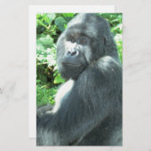 silverback Gorilla (Front/Back)