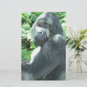 silverback Gorilla (Standing Front)