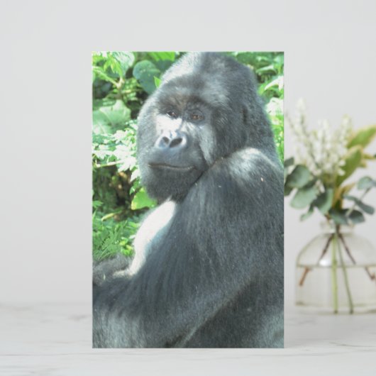 silverback Gorilla (Standing Front)