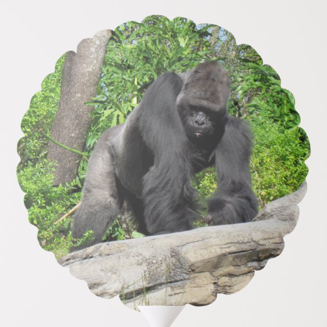 Silverback Gorilla Balloon (Back)