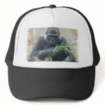 Silverback Gorilla Baseball Hat