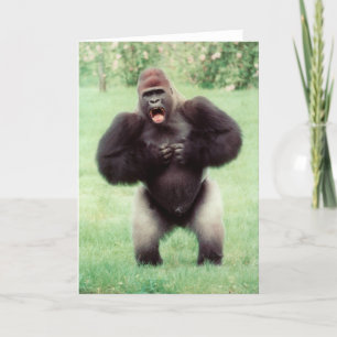 Silverback Gorilla Beating Chest Card