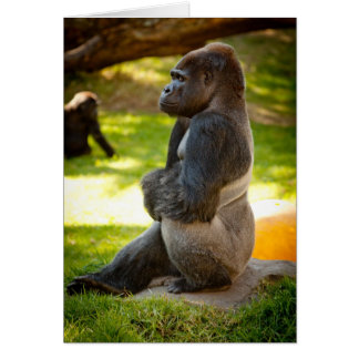 Silverback Gorilla Cards