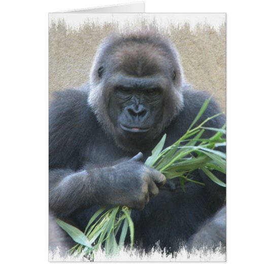 Silverback Gorilla Greeting Card