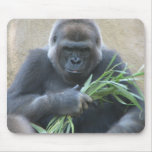 Silverback Gorilla Mouse Pad