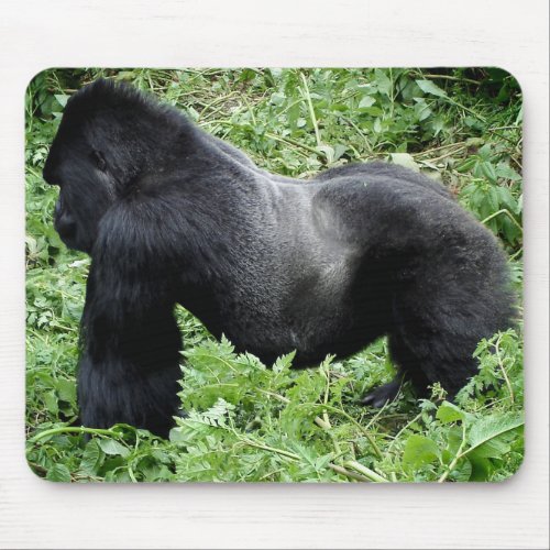 Silverback gorilla mousepad