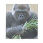 Silverback Gorilla Notepad