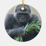 Silverback Gorilla Ornament at Zazzle