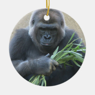Personalized Gorilla Mug, Gorilla Gift Ideas, Gorilla Cup, Gifts for  Gorilla Lovers, Gorilla Present Ideas CG562