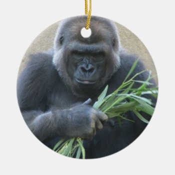 Silverback Gorilla Ornament by WildlifeAnimals at Zazzle