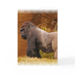 Silverback Gorilla Photo Greeting Card
