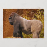 Silverback Gorilla Photo Invitation