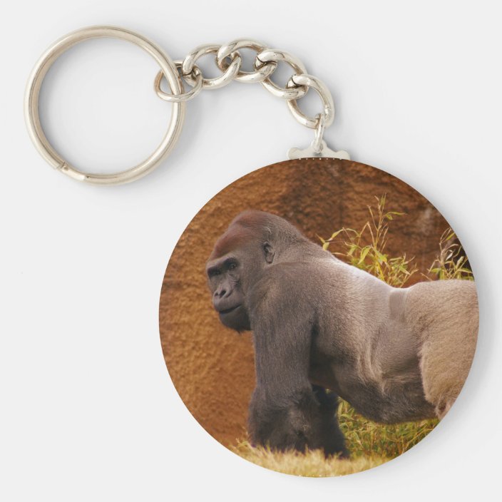 Silverback Gorilla Photo Keychain | Zazzle.com