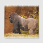 Silverback Gorilla Photo Magnet